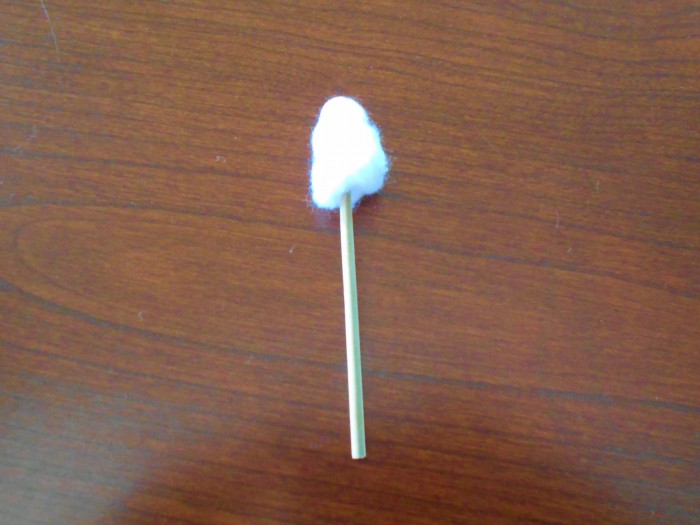 DSCN2629