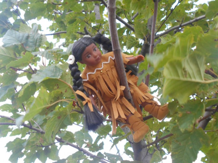 Mini Kaya high up