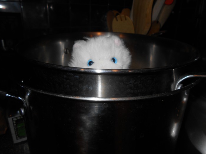 This is so cozy! I wonder how I can get out! Hmm...
