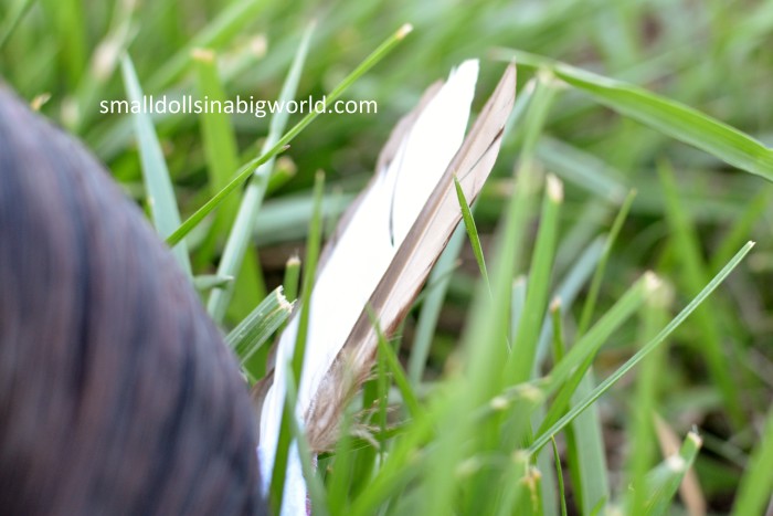 feathers