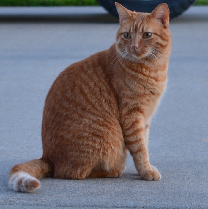 DSC_4058