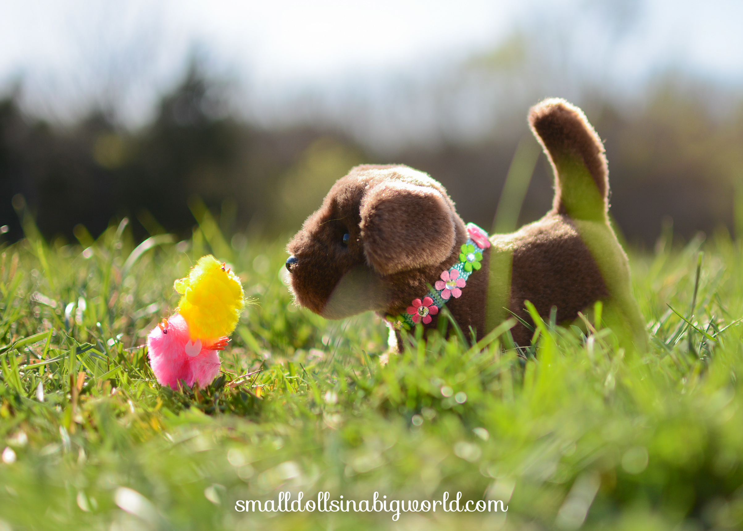 LateEasterPics-6